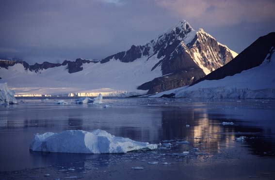 Hansen Island. Photo: © Colin Harris 2001